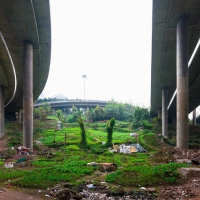 Heterotopia - Chongqing´s utopic gardens